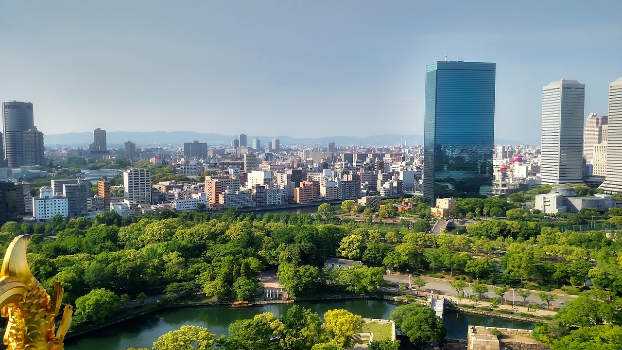 丽水最新新闻报道，城市发展与民生改善同步推进