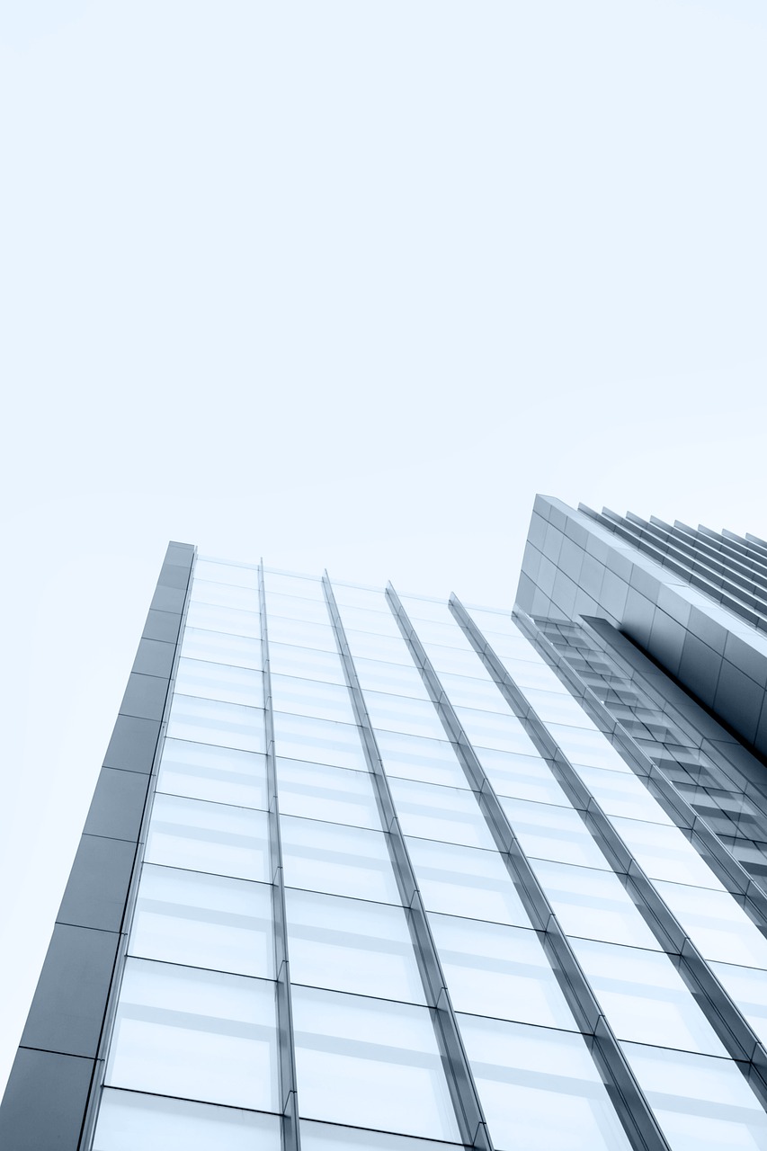 现代化牛舍建设最新图片展示，设计理念与建筑风貌的完美结合
