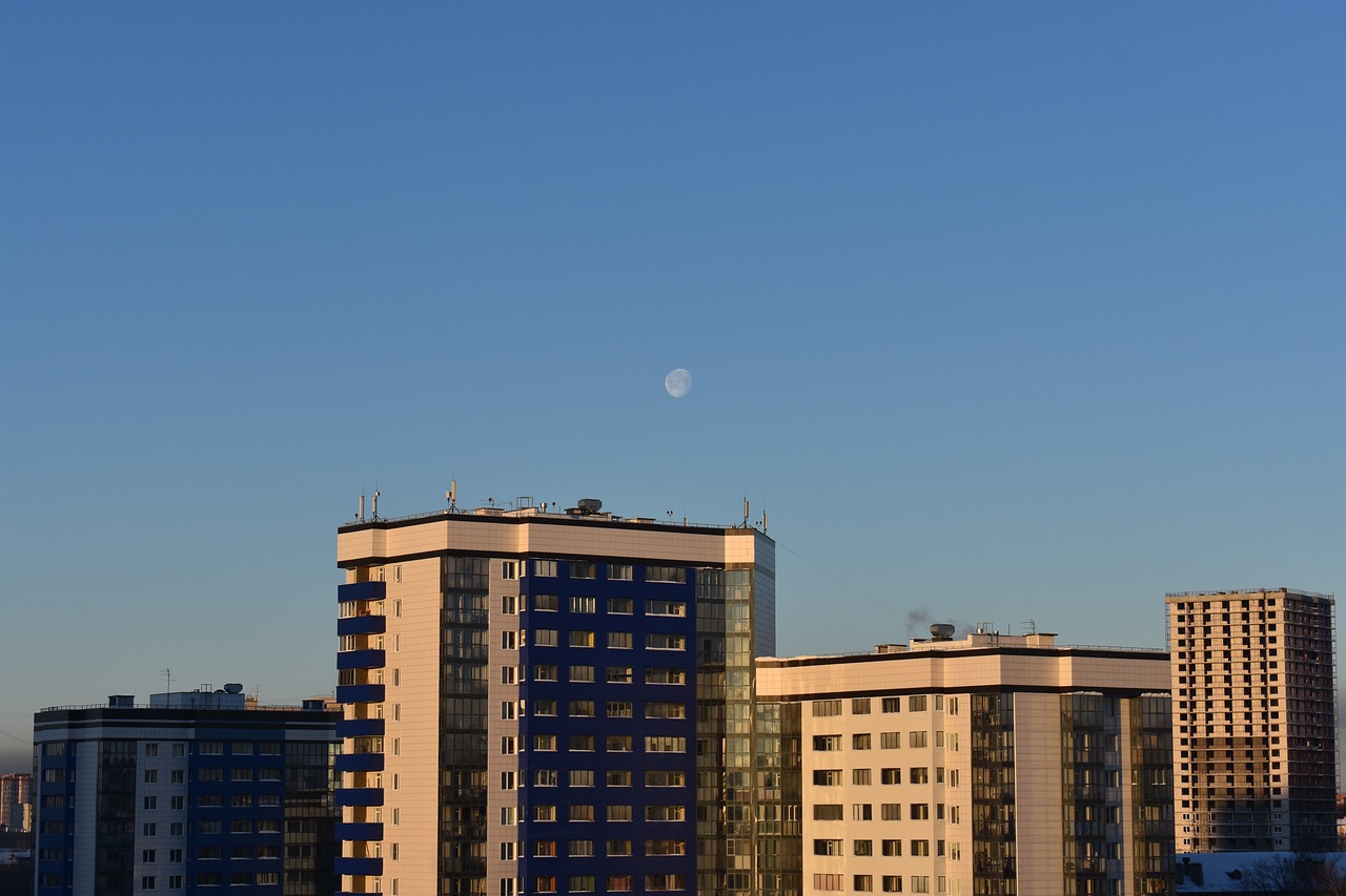 2025年1月 第126页